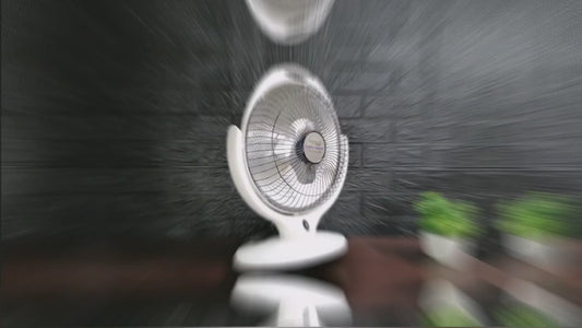 Sun Halogen Electric Dish Heater